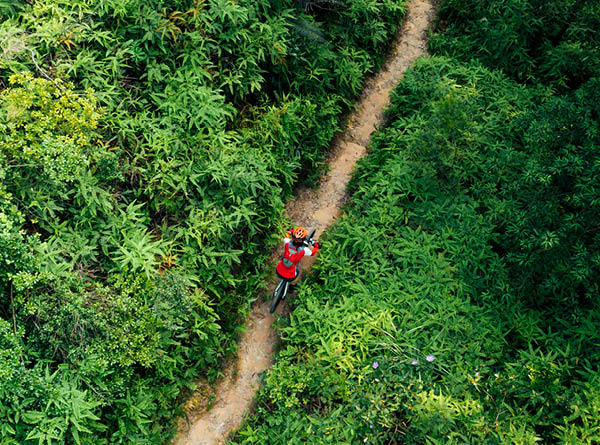 Aerail view of cross country female cyclist mountain bike hiking tropical rainforest trail 